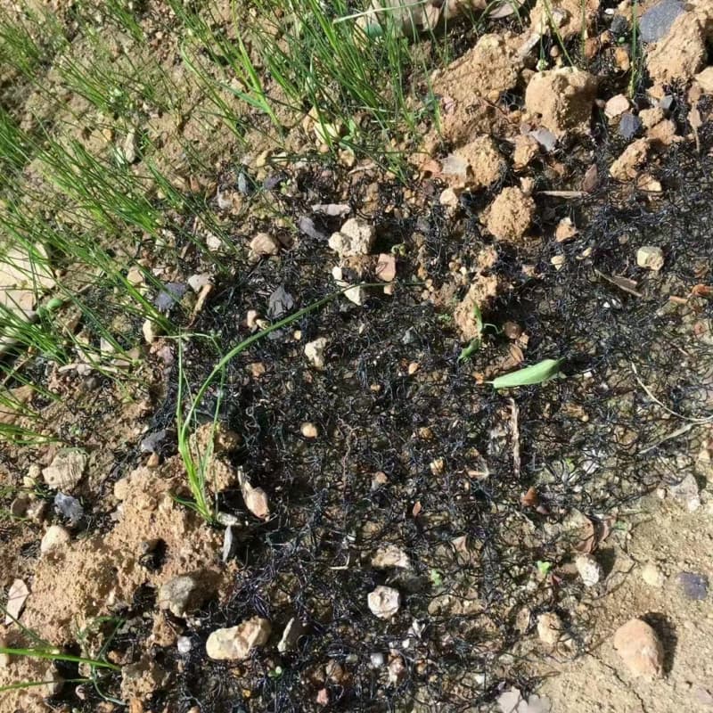 Geocells & Turf Reinforcement Mats