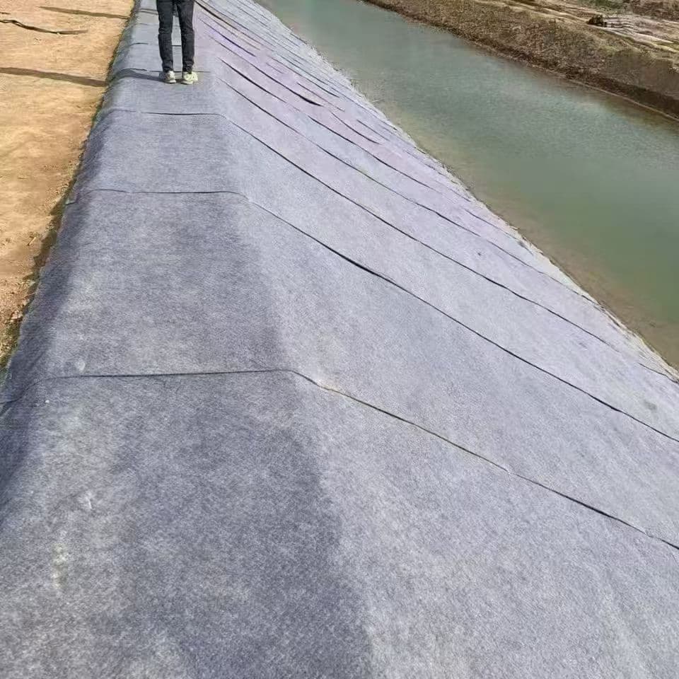 Amazon drainage lining