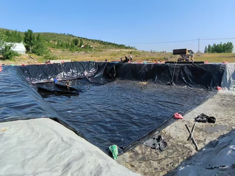 HDPE Geomembrane for Landfill Base Liner – 10-Year Performance Verification Under Aggressive Leachate Condition