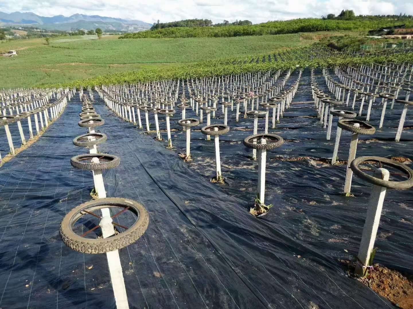 Proceso de fabricación de telas tejidas para el control de malezas